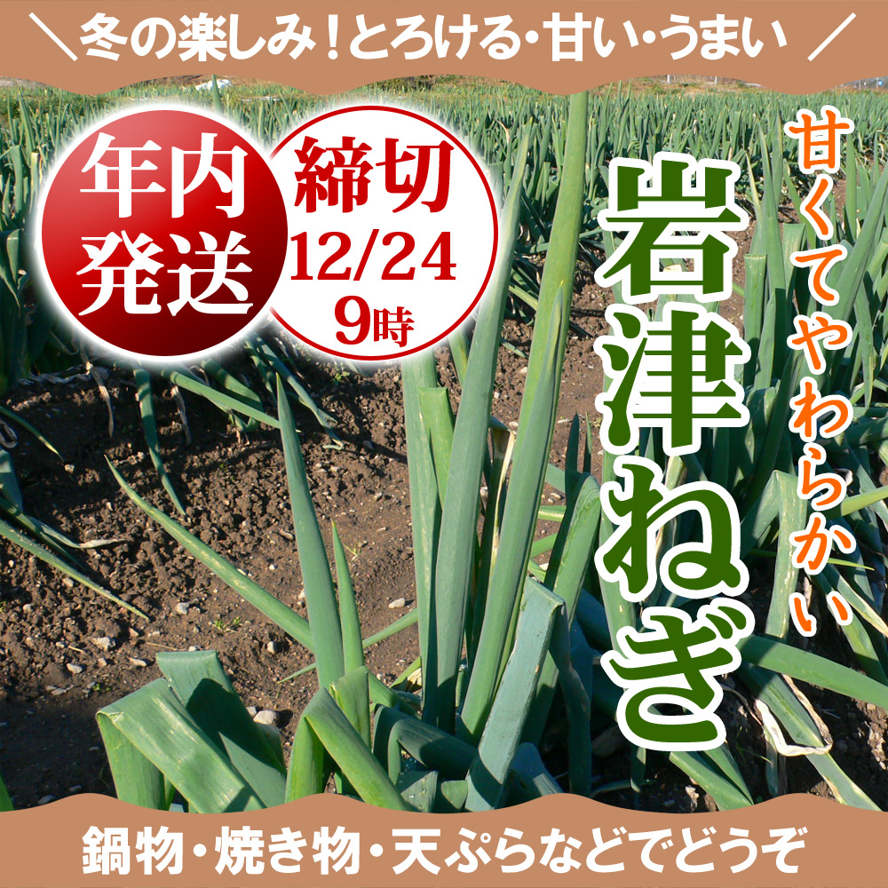薪 約32cm コンテナ入り 人工乾燥品 薪ストーブ ピザ窯 暖炉 焚き火