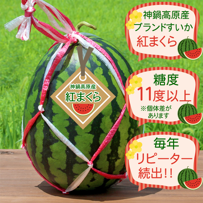 紅まくら 2玉（2L）神鍋高原すいか 高級 大玉 スイカ 送料無料 : ある