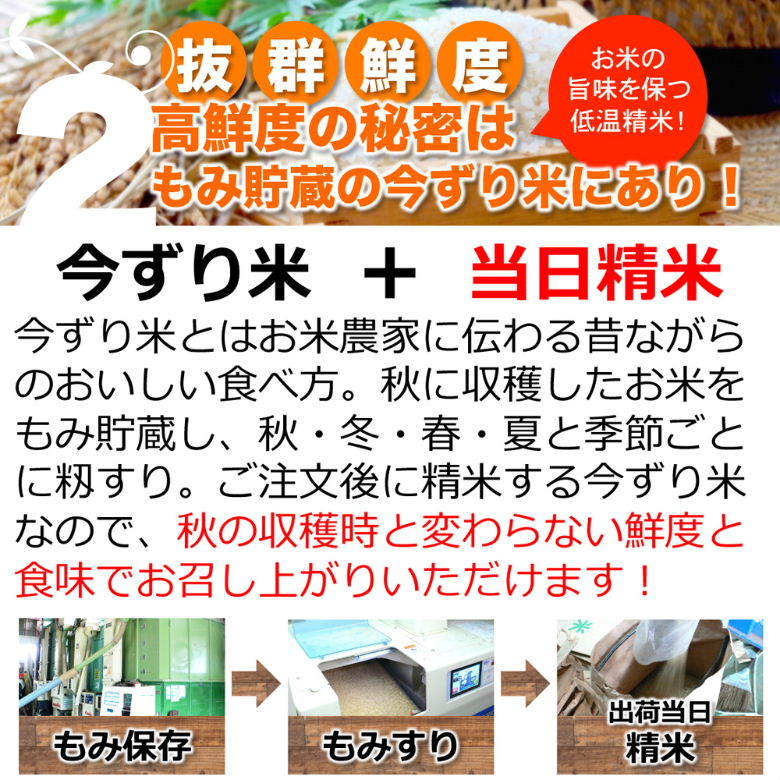 無洗米 玄米 白米 5kg 今ずり米 農薬不使用 コシヒカリ 令和5年産 送料