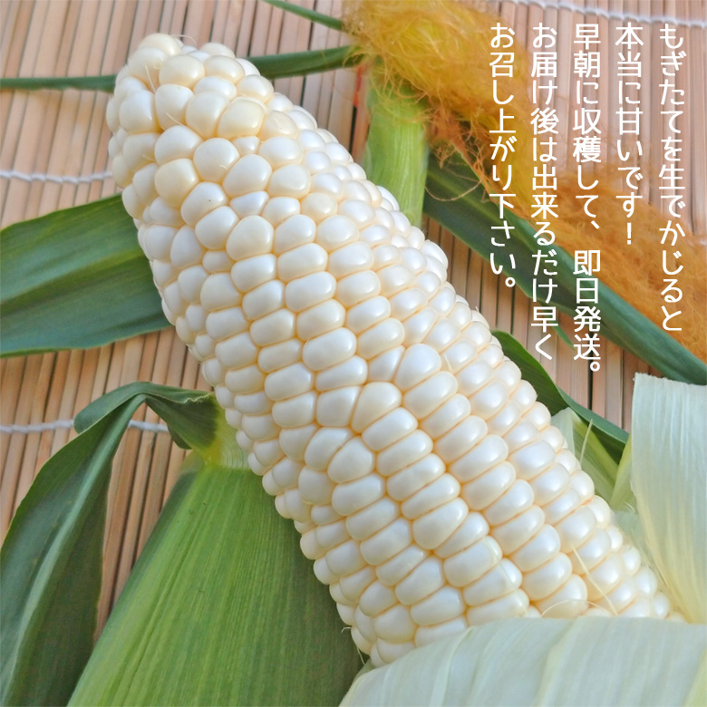 ra-wca-b780.jpg