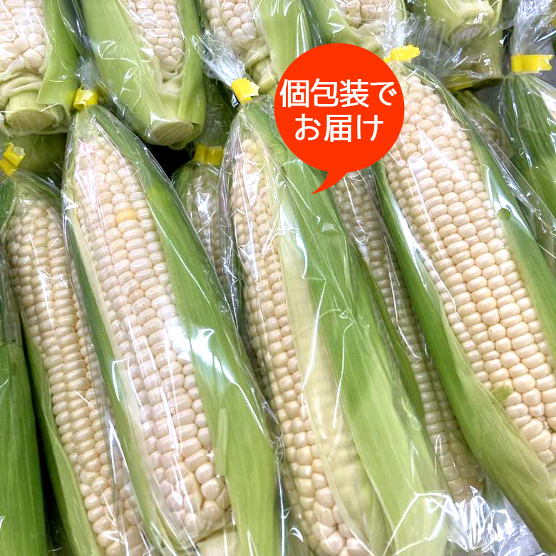 アイスクリームコーン 白いトウモロコシ ホワイトコーン 3kg