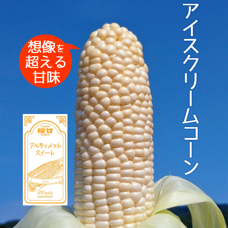 極甘！白いとうもろこし10本入3箱 Amazon.co.jp: とうもろこし ピュアホワイト 約3kg 8～12本入り