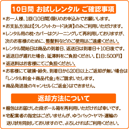 10日間！お試しレンタル】あずき枕 小豆枕 日本製【送料無料