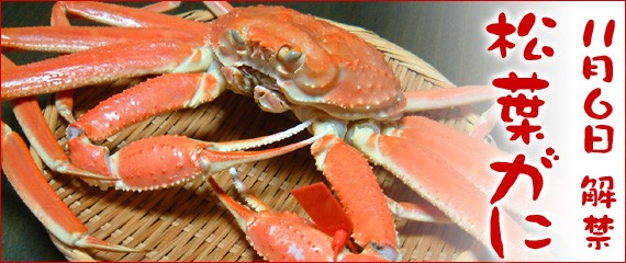 クーポン有／ 松葉ガニ 松葉がに（約750〜900g）ギフト ボイル