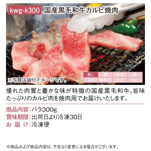 景品ならパネもく！国産黒毛和牛カルビ焼肉（A4パネル付目録）kwg-k300-rbの画像5
