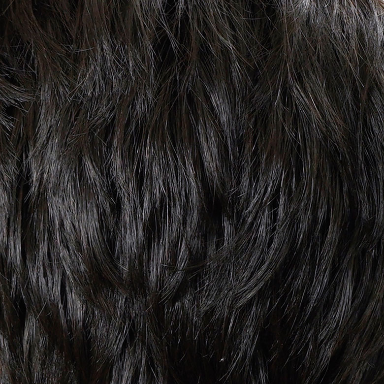 ラパンドアールオムメンズフルウィッグカラーの画像