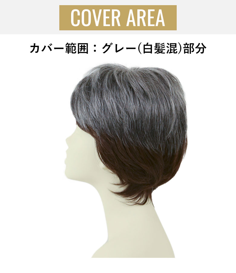 カバー範囲はグレー（白髪混）の部分です。