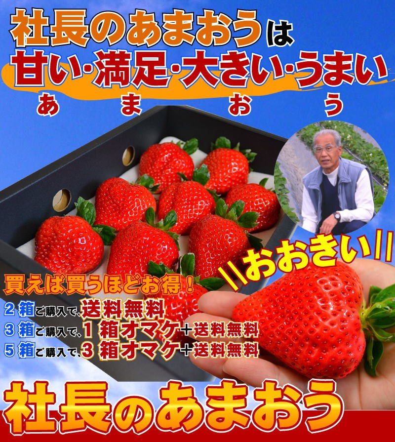 2箱以上で送料無料 特大の苺 いちごの王様 あまおうイチゴ 勝ちたきゃ