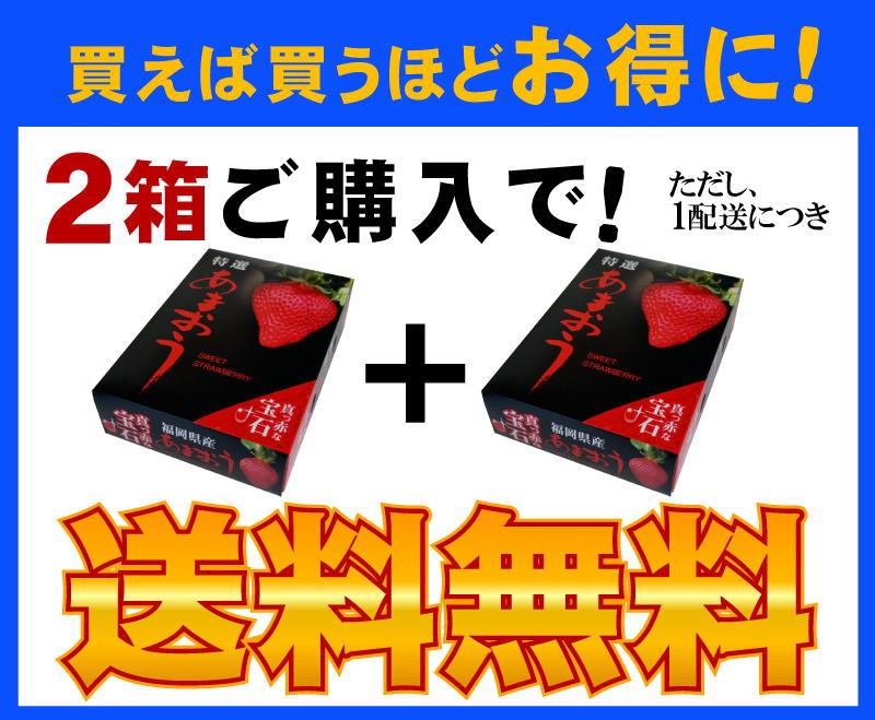 苺,いちご,イチゴ,あまおう,甘王,イチゴ,いいもの【あるファーム】九州