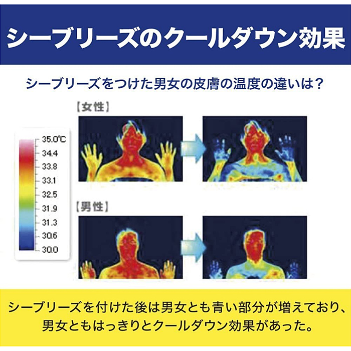 憧れ 資生堂 シーブリーズ 全身ローション センシティブ 230mL 化粧品