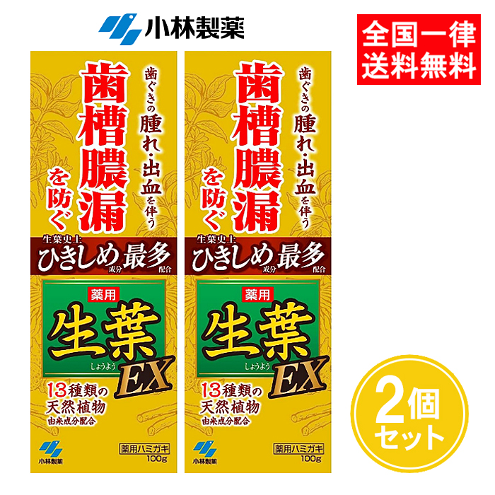 生葉 生葉EX 100g 2個セット 薬用ハミガキ 小林製薬 : ASストア - 通販 