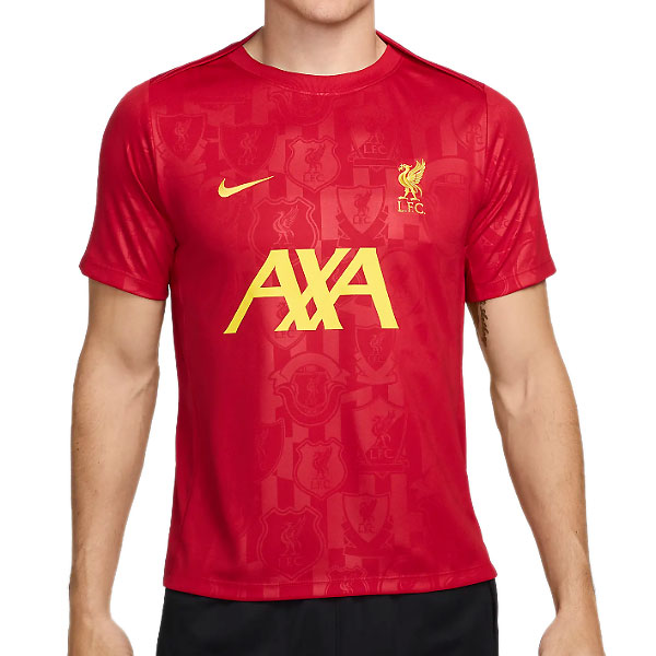 NIKE ナイキ（NIKE） FN9653 688 サッカー Dri-FIT リバプール