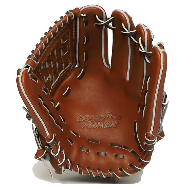 ワールドペガサス（WORLD PEGASUS） WGN5FPT651P 2929 野球 グラブ