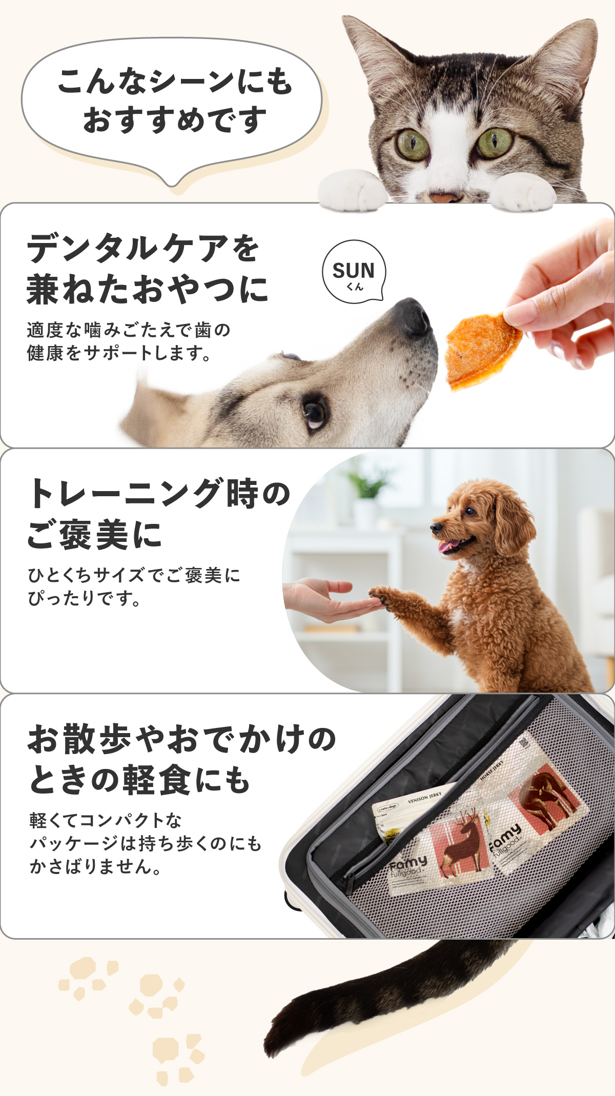 Famy おやつ 犬猫用ジャーキー