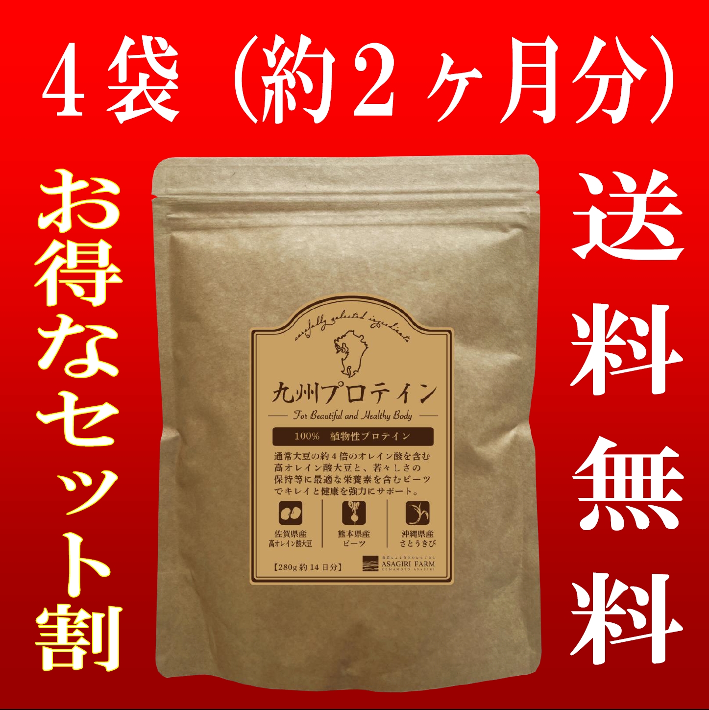 九州プロテイン 280g 14食入り 通常便 たんぱく質 おきかえ 