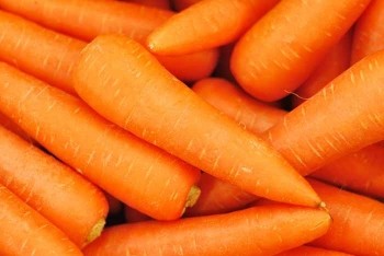 野菜粉末「人参」25メッシュ(1kg)