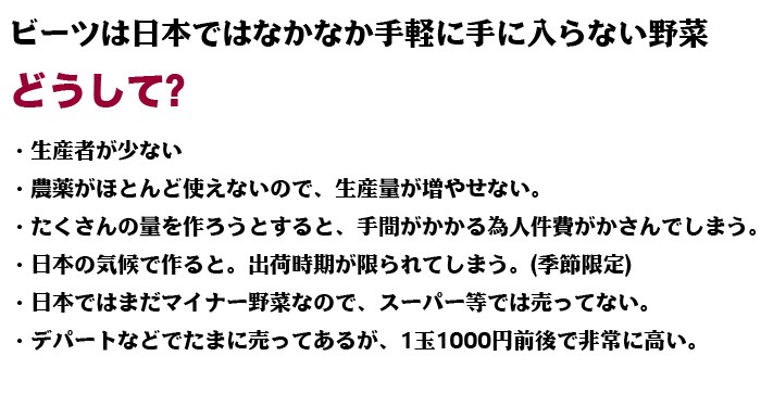 ビーツ赤汁 顆粒 30包入り 1ヶ月分 :AKJ01:あさぎり農園 - 通販 - Yahoo!ショッピング