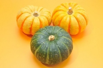 野菜粉末「かぼちゃ」60メッシュ(1kg)