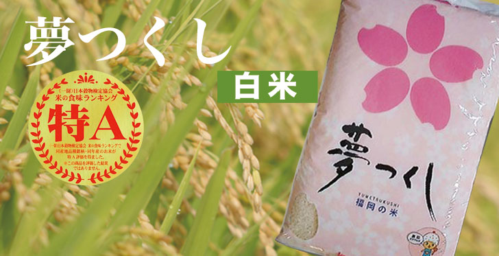 夢つくし 白米 10kg 福岡のお米 令和6年産 福岡県産 コメ 米