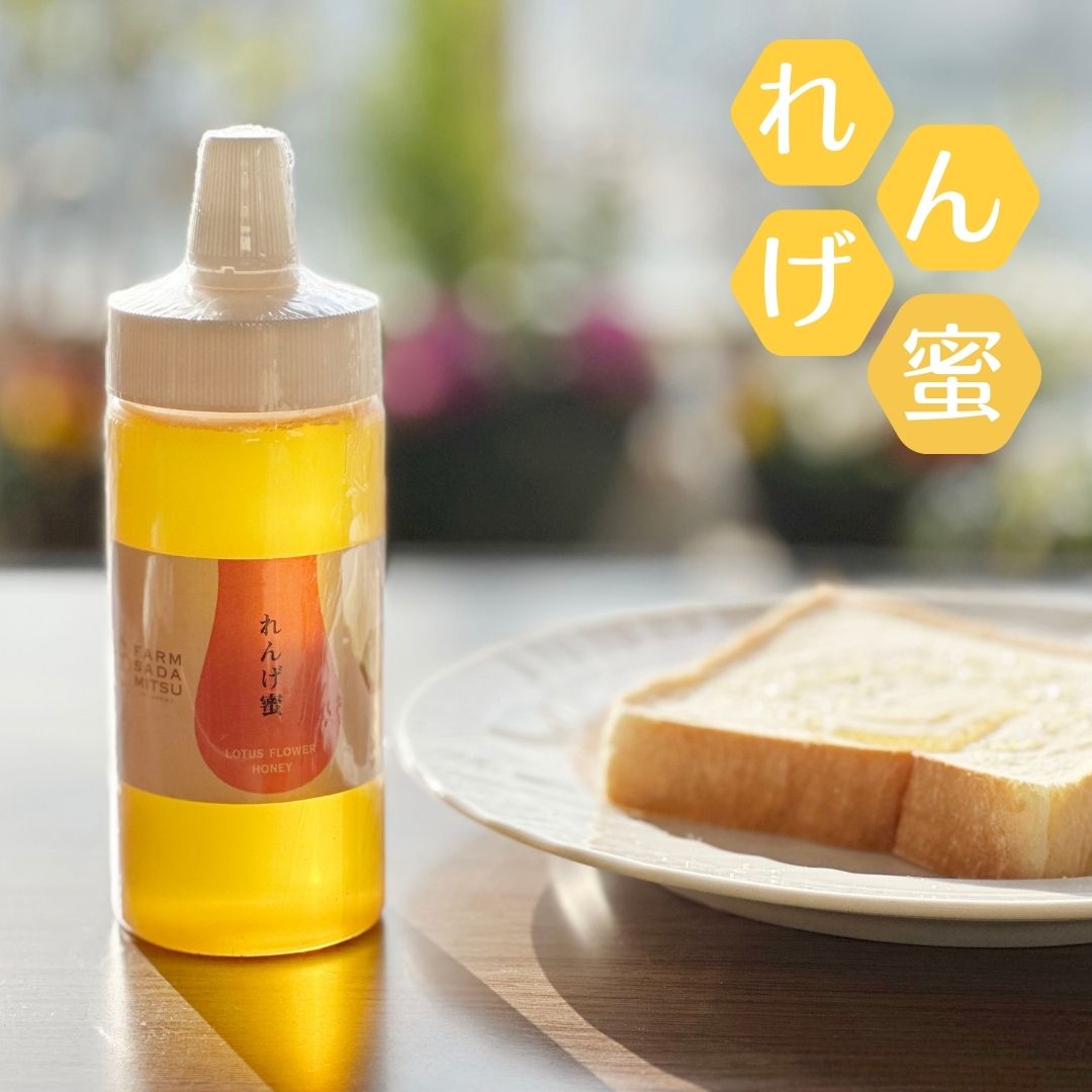 純国産 はちみつ れんげ蜜 350g×2本 蜂蜜 ハチミツ : 朝ごはん本舗 