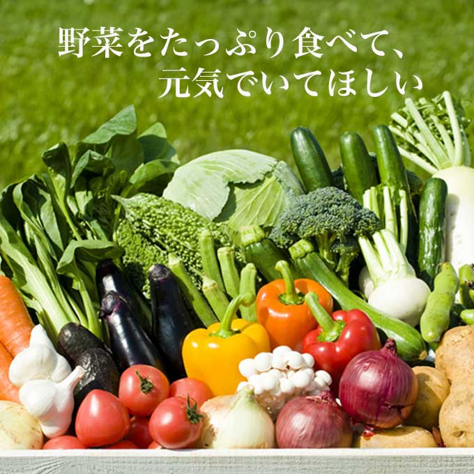 yasai001-sg02.jpg