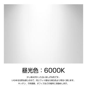 ledバラストレス水銀灯 100ｗ par65 1000W型 ledビーム電球 e39 16000l...