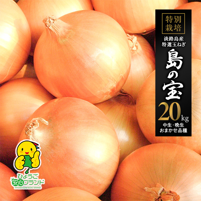 淡路島産新玉ねぎ 秀品 Lサイズ 3kg 極早生 本日発送 有機肥料 - 野菜