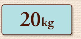 20kg
