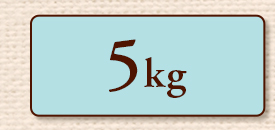 5kg