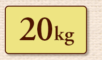 20kg