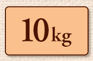 10kg