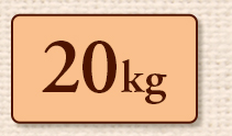 20kg