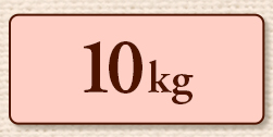 10kg