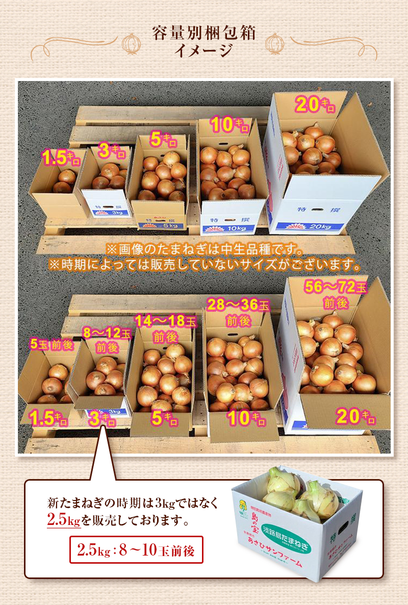 容量別梱包箱イメージ