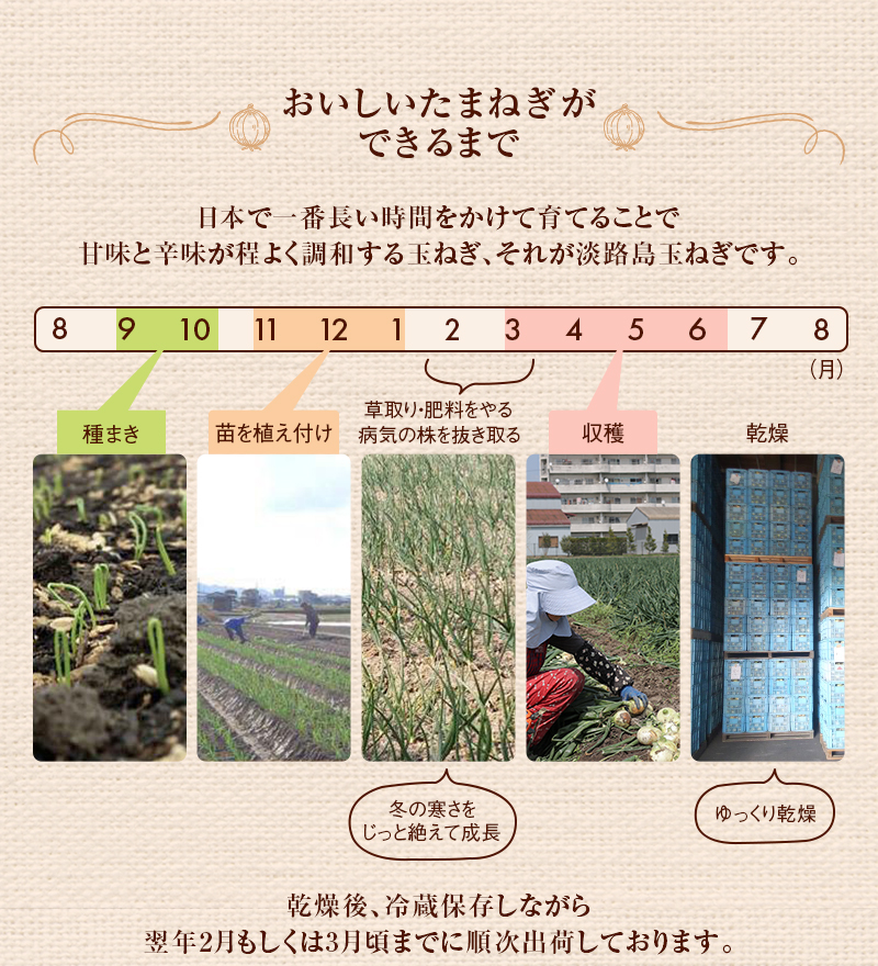 おいしいたまねぎができるまで