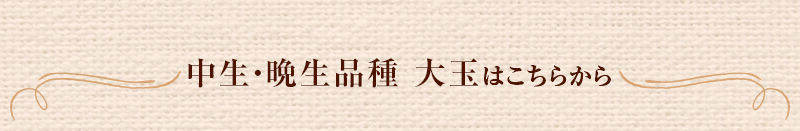中生・晩生品種　大玉