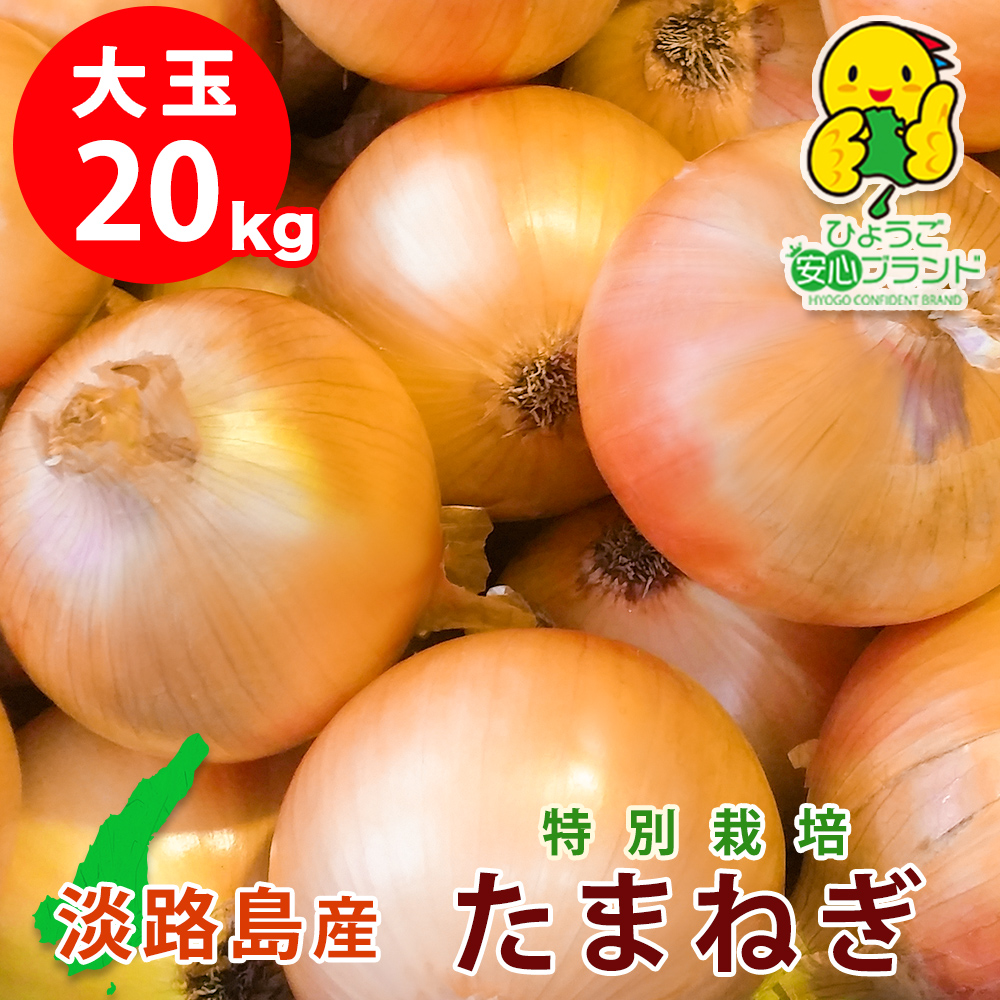 玉ねぎ 野菜 淡路島産 たまねぎ 大玉 20kg 特別栽培 業務用 減農薬