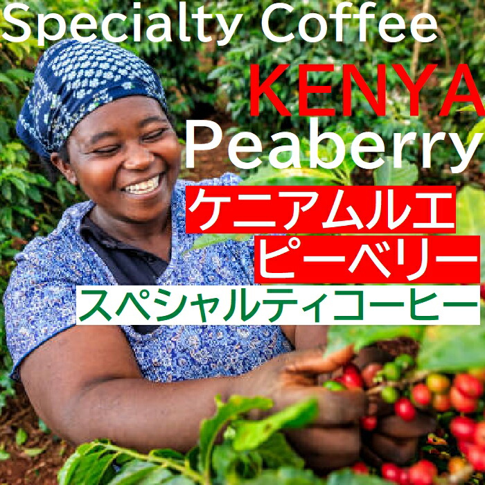 旭珈琲（ASAHI COFFEE） 送料無料!! 生豆 スペシャルティ・プレミアム