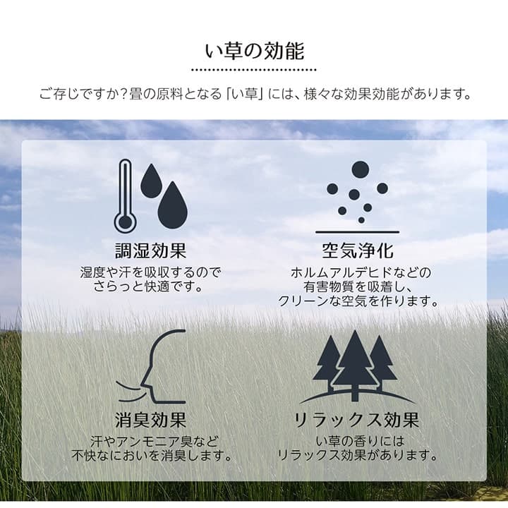 イケヒコ い草ラグ 花ござ カーペット ラグ 2畳 ギャッベ柄 抗菌防臭