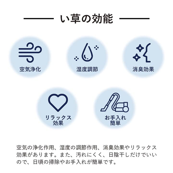 い草ラグ カーペット DXプレーン 長方形 日本製 国産 自然素材 滑り止め加工 市松柄 消臭 シンプル 約191×300cm ホットカーペット対応 床暖房対応 和室