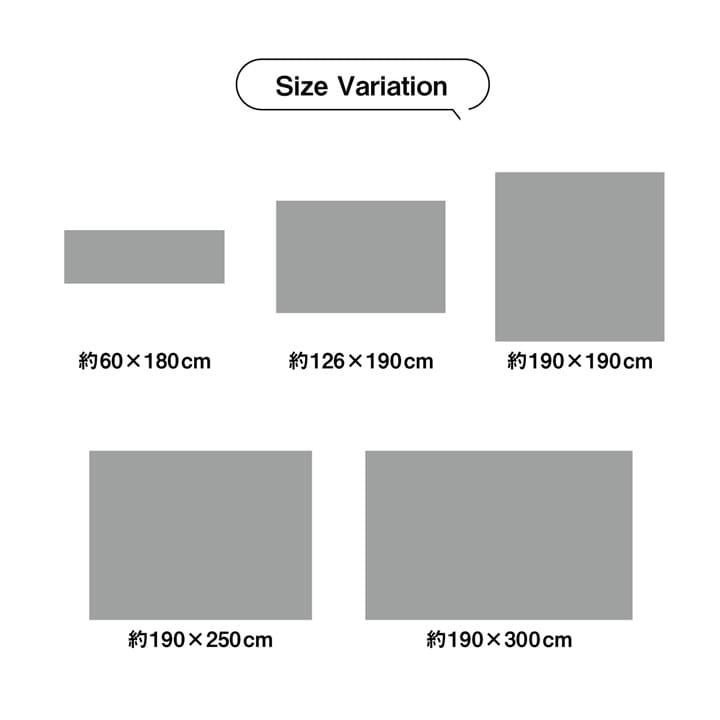 イケヒコ い草ラグ カーペット NCXクリア グラデーション 約190×300cm