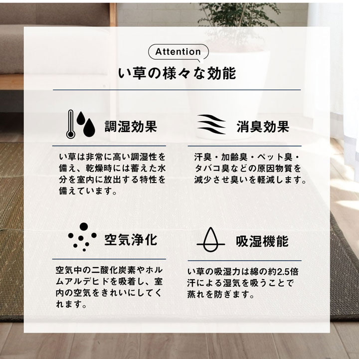 イケヒコ い草ラグ カーペット NCXクリア グラデーション 約190×300cm