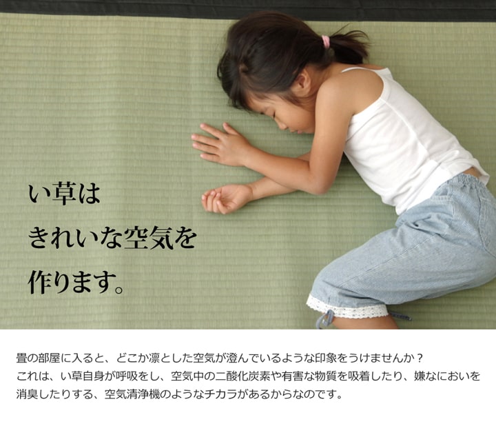 純国産 い草 上敷き カーペット 麻綿織 清正 本間3畳 (約191×286cm) 熊本県八代産イ草使用 ござ 国産 日本製 和室 敷物 本間 夏 抗菌防臭 調湿 消臭 空気清浄_12