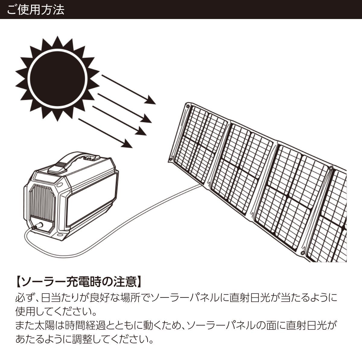 日動 ポータブル電源 ピンバン LPE-R250L 1台 通販