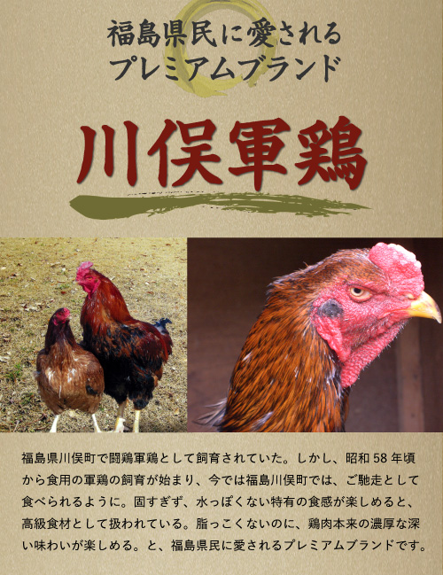 ラーメン 生麺 中華麺 お取り寄せグルメ 食品 まとめ買い 食品 福島 ご当地グルメ 常備食 食べ物 お土産 巣ごもり 川俣シャモ鳥中華 川俣シャモを使った 鳥中華