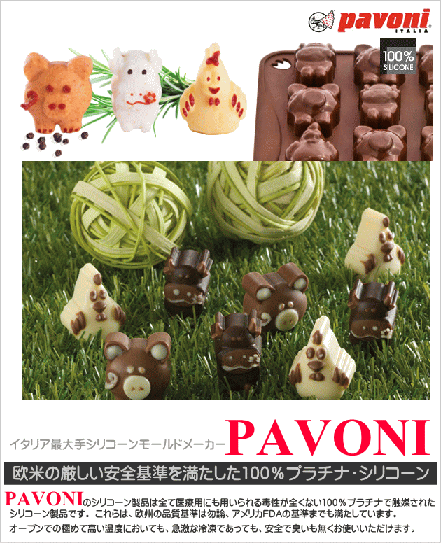 Pavoni(パヴォーニ) チョコレート型 Faem チョコアイス ファーム