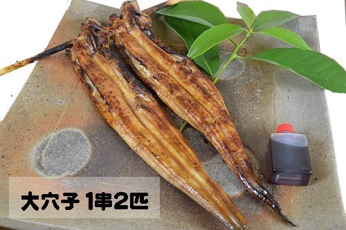 大穴子　１串２匹