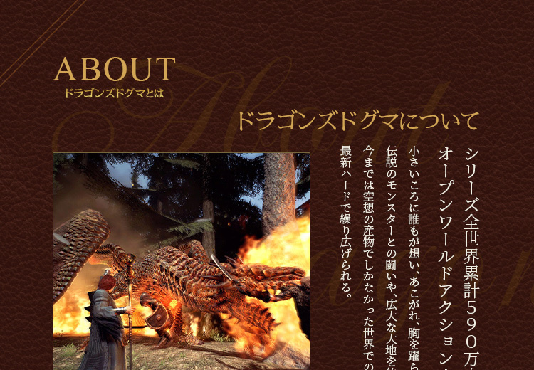 カプコン（CAPCOM） 在庫あり[メール便OK]【新品】【NS】ドラゴンズ