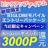 BIGLOBE(ビッグローブ) モバイル エントリーパッケージ