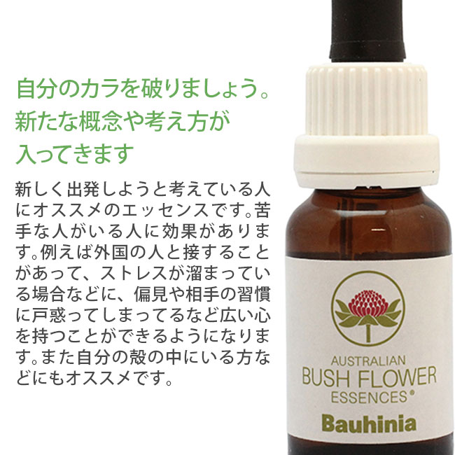 ボウヒニア オーストラリアンブッシュ シングルエッセンス